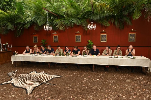 Zum "Dschungelcamp" gehören immer eklige Essensprüfungen – in der "Dschungelshow" gab es davon nur eine einzige.