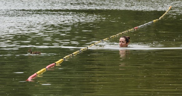 LONDON, ENGLAND - JULY 18: A woman swims past ducks in Beckenham Place Park's restored swimming lake on July 18, 2019 in London, England. On July 22, London will officially become the world's first na ...