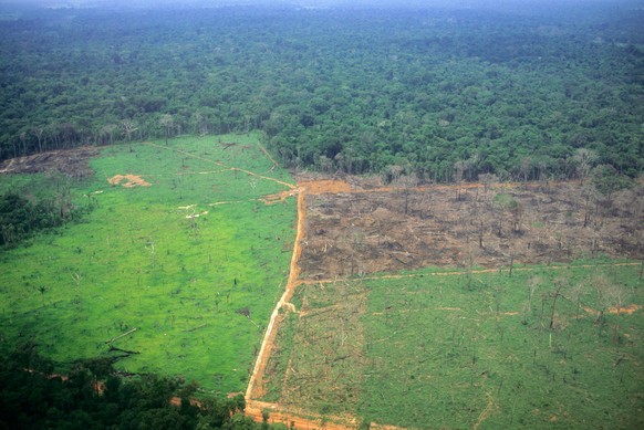 Abgebrannte Waldfläche im Amazonasgebiet im Jahr 2017.