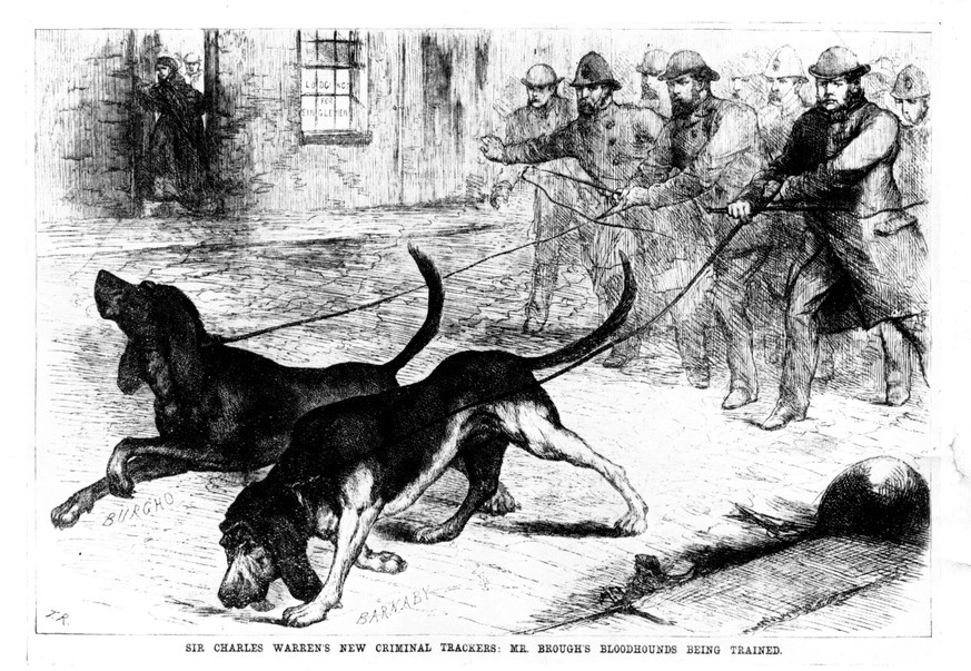 Auch Spürhunde konnten den Ripper nicht finden.
