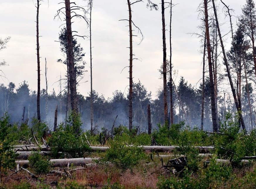 06.06.2023, Brandenburg, Jüterbog: Qualm steigt in einem Waldstück des Naturschutzgebietes des ehemaligen Truppenübungsgeländes bei Jüterbog auf. Knapp eine Woche nach Ausbruch des Waldbrandes auf dem ...