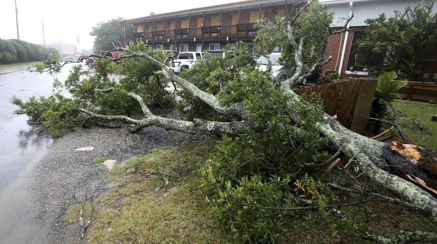 A fallen tree blocks part of the road in Buxton, N.C., as Hurricane Dorian passes nearby on Friday, Sept. 6, 2019. A weakened Hurricane Dorian flooded homes on North Carolina&#039;s Outer Banks on Fri ...