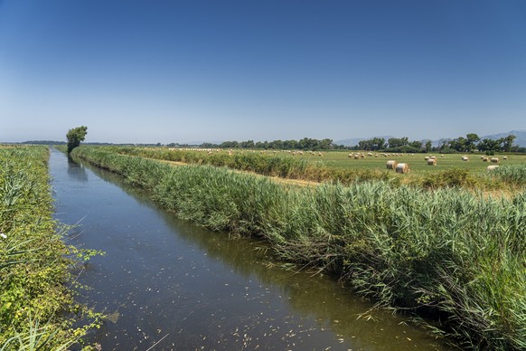 Agro Pontino, Latina, Lazio, Italy: rural landscape at summer xkwx Agro Pontino, Europe, Italy, Latina, Lazio, Pontinia, agriculture, bale, canal, color, country, day, field, green, land, landscape, n ...