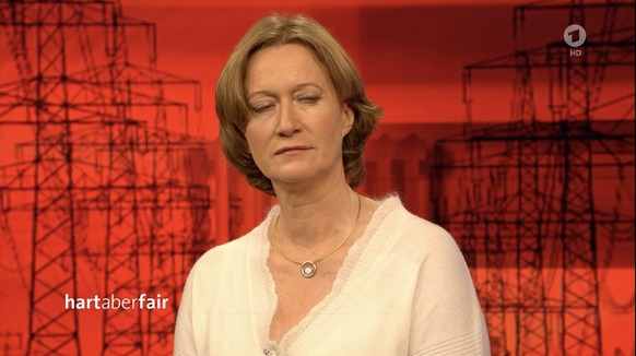 Energie-Lobbyistin Kerstin Andreae warnt vor "unseriösen Billiganbietern".