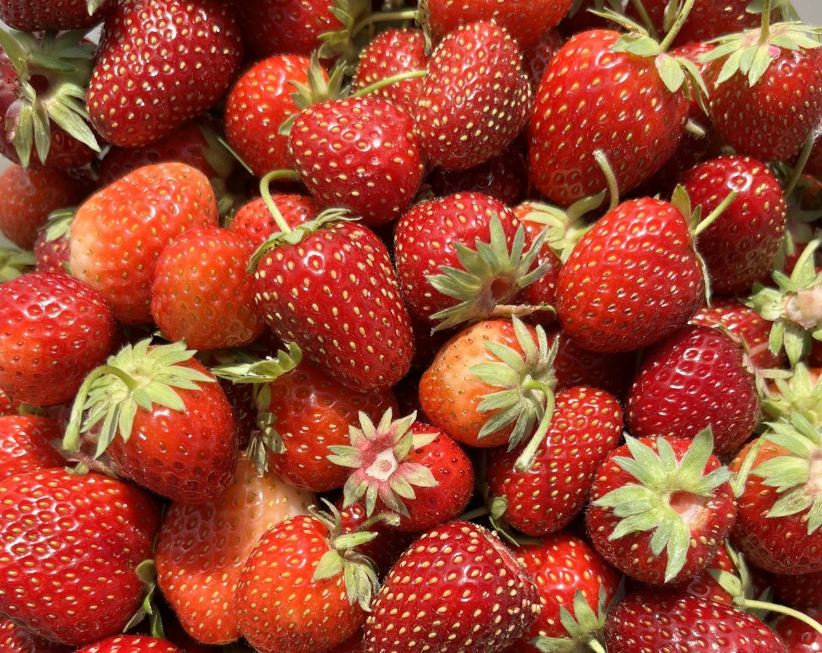Die Erdbeeren, die wir in den Wintermonaten im Supermarkt finden, stammen zumeist nicht aus Deutschland.