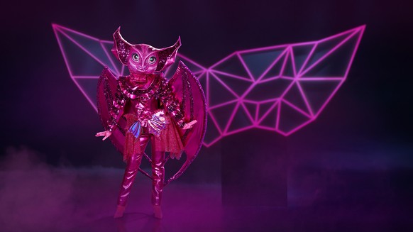Fledermaus: Hoch im Kurs ist bei diesem Tier Dragqueen Olivia Jones.