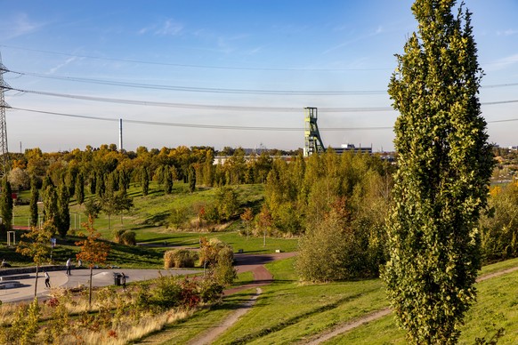 Der Park in Essen.