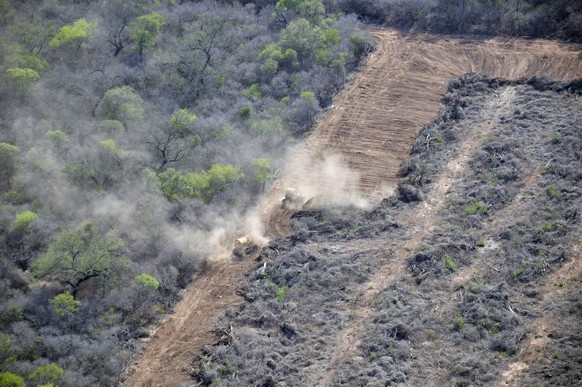 Bildnummer: 56812084 Datum: 20.11.2010 Copyright: imago/imagebroker
Luftaufnahme, mit Bulldozern wird der ursprüngliche Wald des Gan Chaco gebrochen, die Biomasse wird auf die gerodeten Flächen vertei ...
