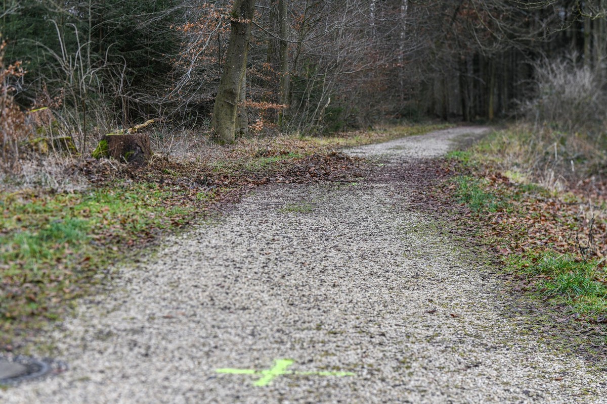 29.12.2023, Baden-Württemberg, Ulm: Ein Blick auf eine Stelle in einem Waldstück, an der ein 15-Jähriger versucht haben soll, seine gleichaltrige Freundin zu erwürgen. Das Mädchen wurde in ein Kranken ...