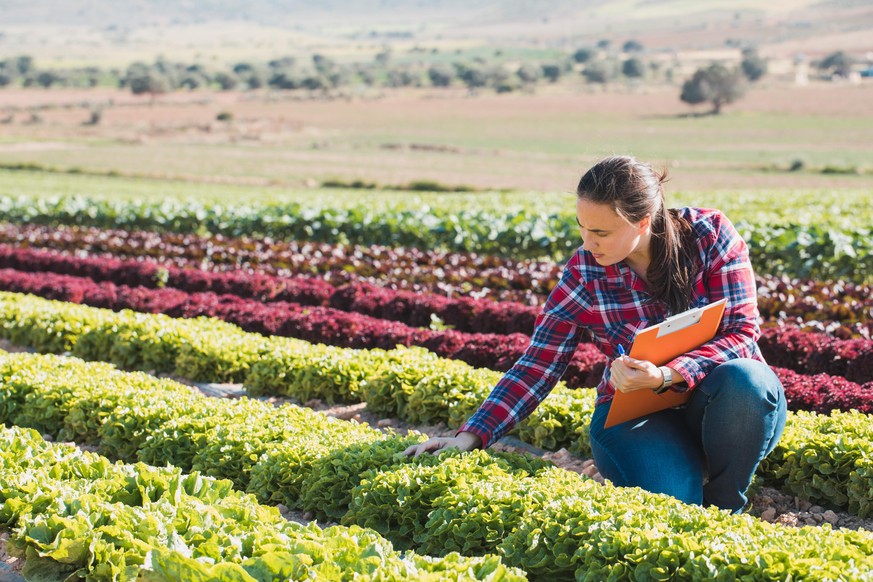 Weniger Pestizide und mehr Bio: EU plant weitreichenden Wandel in der Landwirtschaft.