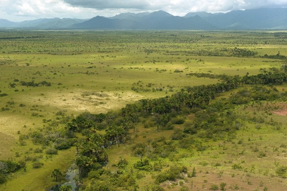 Seizoensgebonden overstroomd Savannah, North Rupununi, Guyana. PUBLICATIExINxGERxSUIxAUTxALLEEN Copyright: xPetexOxfordx/xDanitaxDelimont SA11 POX0435 Seizoensgebonden overstroomd Savannah North Rupununi Guyana PUBLICATIE ...