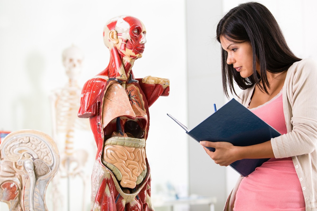 The human skeleton model in classroom