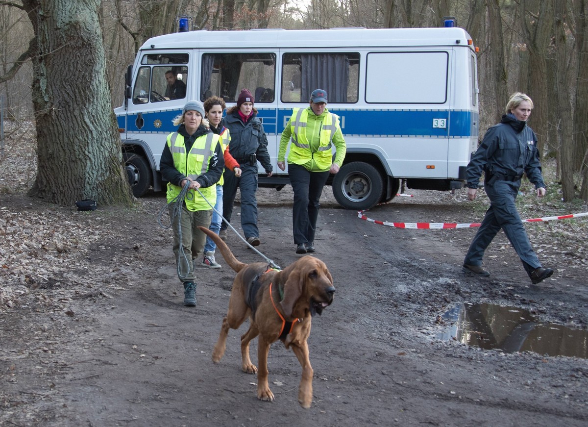 Storkow den 08.03.2019 Auch heute am Freitag ist die Polizei wieder bei Storkow im Einsatz, sie suchen jetzt schon den 2. Tag ein Waldstueck bei Storkow nach der vermissten Rebecca Reuch ab. *** Stork ...