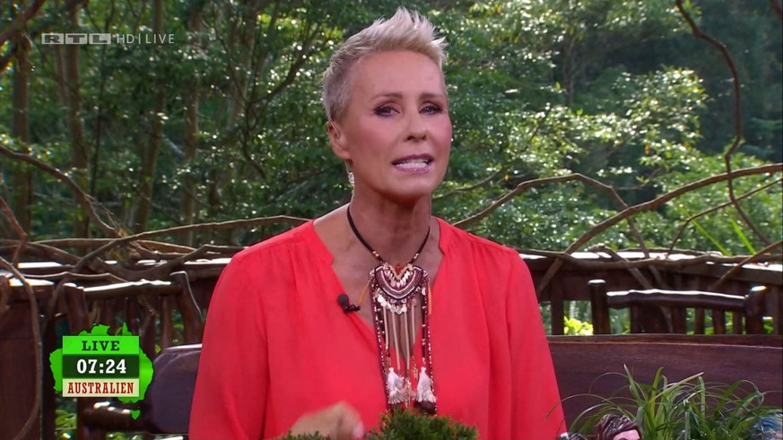 Dschungelcamp-Moderatorin Sonja Zietlow wendet sich am Anfang der Sendung an die Zuschauer und die Kritiker, die gefordert hatten, das Dschungelcamp aufgrund der verheerenden Buschfeuer in Australien abzusagen. 