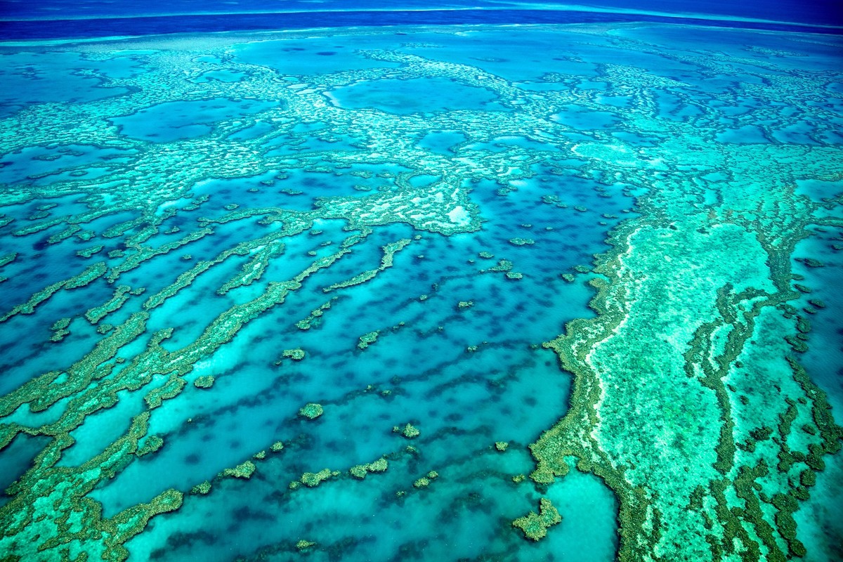Das Great Barrier Reef in Australien ist sogar vom Weltraum aus zu sehen.