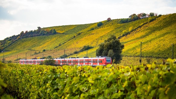 A train runs through autumnal vineyards in Nierstein.