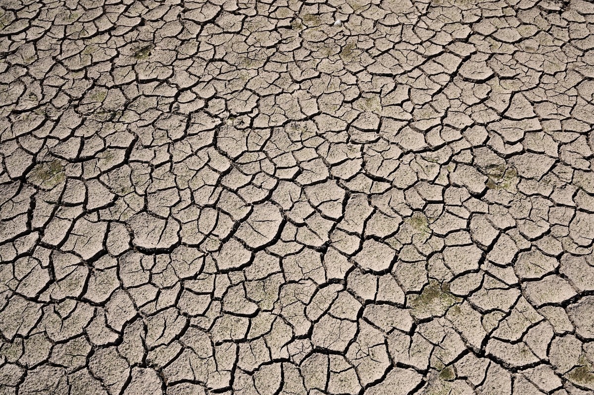 PRODUKTION - 11.08.2022, Hessen, Bringhausen: Rissig ist der Boden in der teils trocken gefallenen Bringh�user Bucht. Hessens gr��ter Stausee ist aufgrund der Trockenheit und der Wasserabgabe an die W ...