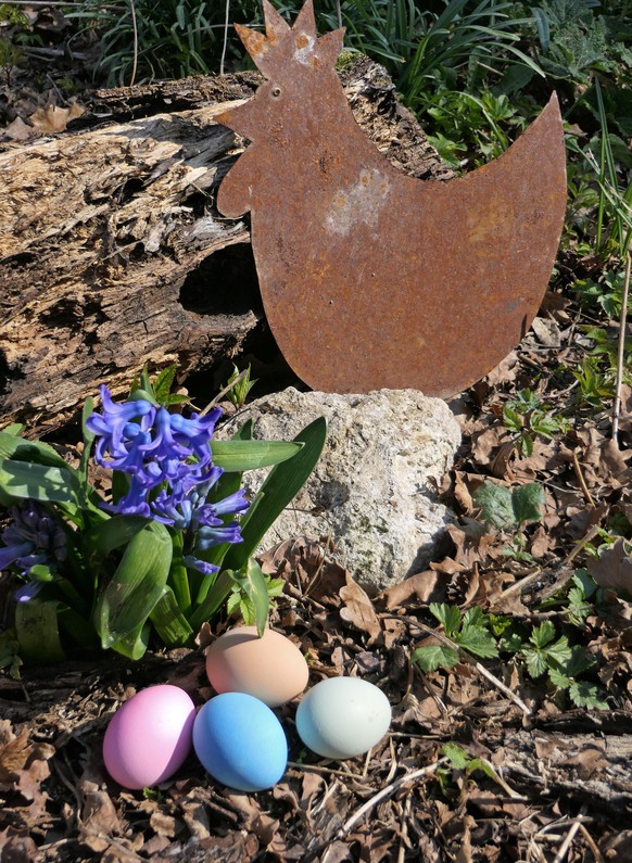 Um umweltschädliche Chemikalien zu umgehen, kann man Eier auch mit Natur- und Pflanzenfarben einfärben. 