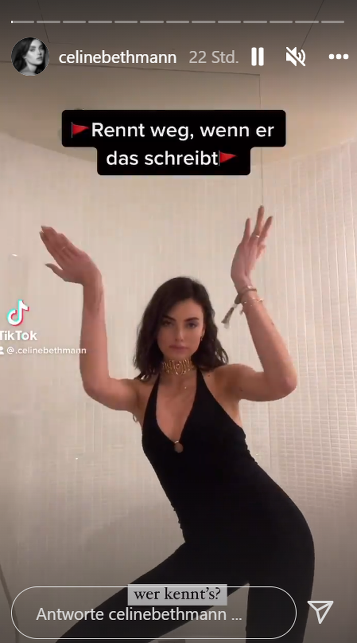 Céline Bethmann in ihrer Instagram-Story.