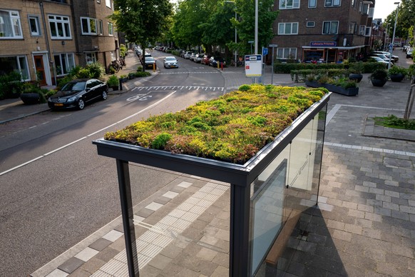 Ein begrüntes Bushäuschen in Utrecht.