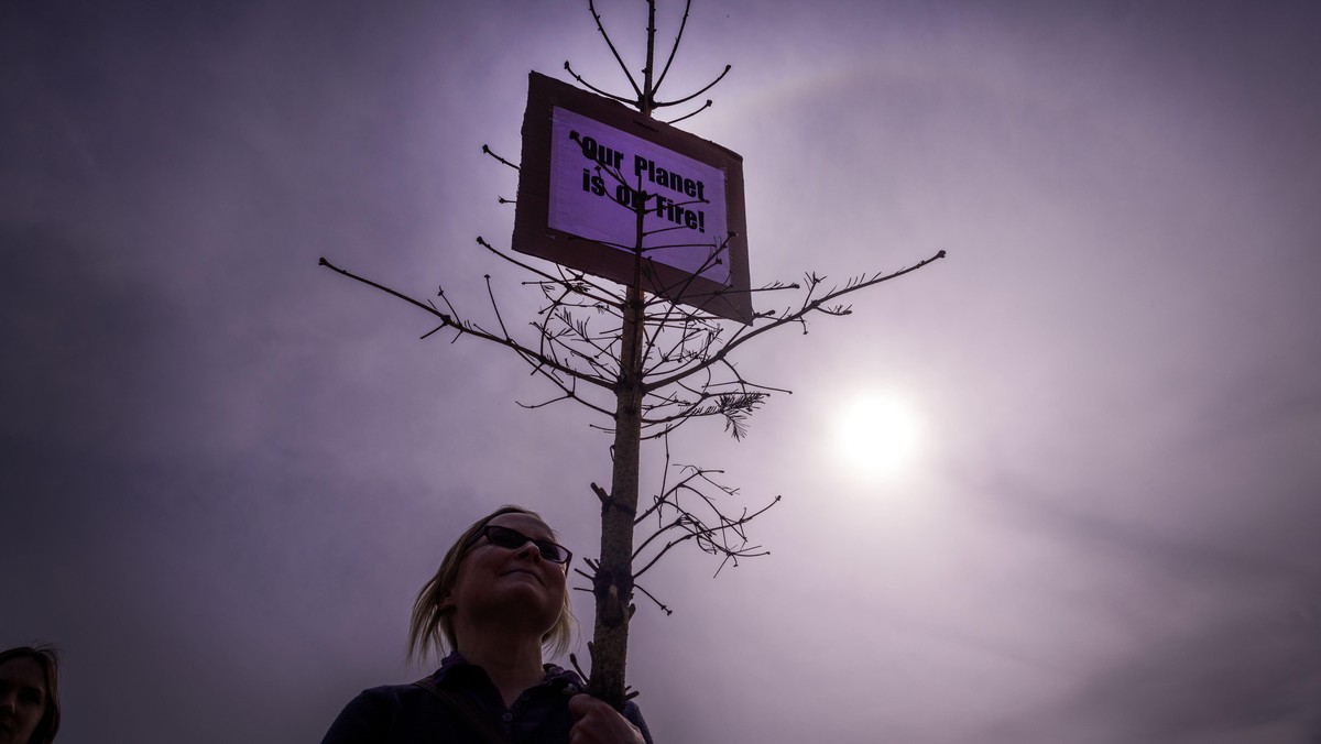 Eine Teilnehmerin der Protestaktion von Aktivistinnen und Aktivisten von Fridays for Future trägt auf dem Alten Garten vor dem Schloss einen vertrockneten Baum mit einem Schild mit der Aufschrift „Our ...
