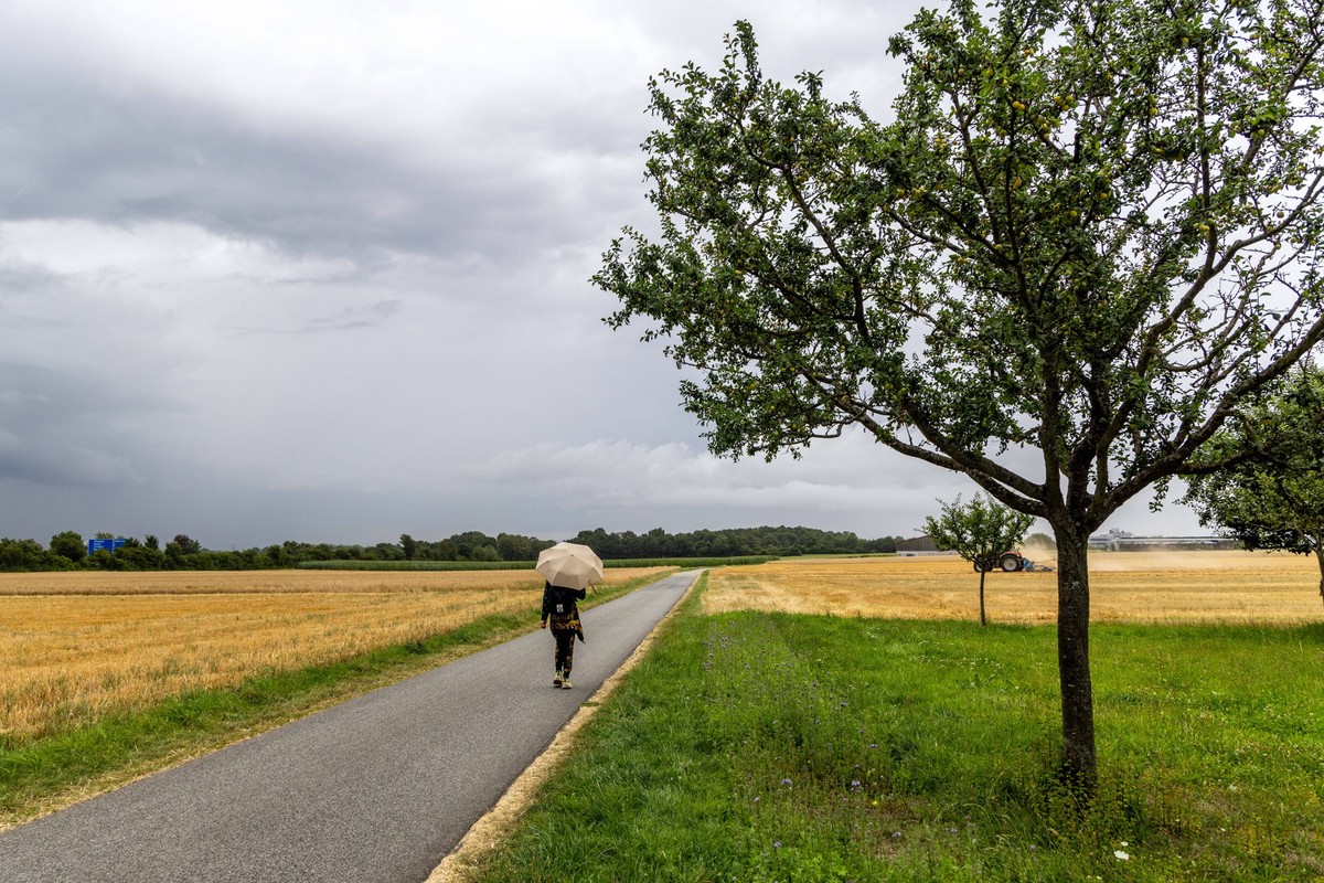 Regen in Hessen Ein Mann läuft bei Regen über einen Weg in den Feldern am Stadtrand., Oberursel Hessen Deutschland *** Rain in Hesse A man walks in the rain along a path in the fields on the outskirts ...