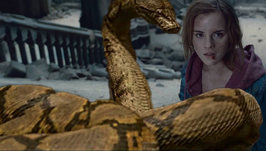 Harry Potter Geheimnis Um Schlange Nagini Wird Geluftet Watson