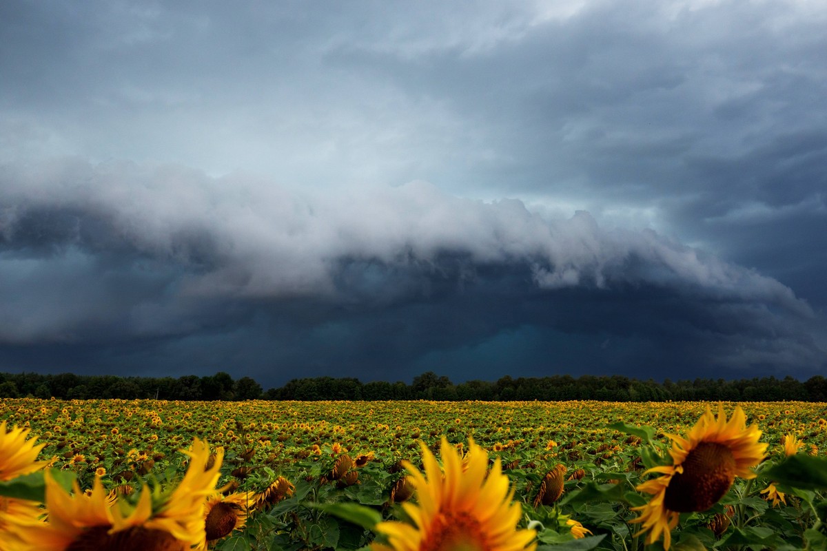 Wetter in Brandenburg - Unwetter ziehen ueber die Lausitz DEU/Deutschland/Brandenburg/Neupetershain, 12.07.2024, Unwetter ziehen ueber Brandenburg, dunkle Gewitter- und Regenwolken sind ueber einem So ...