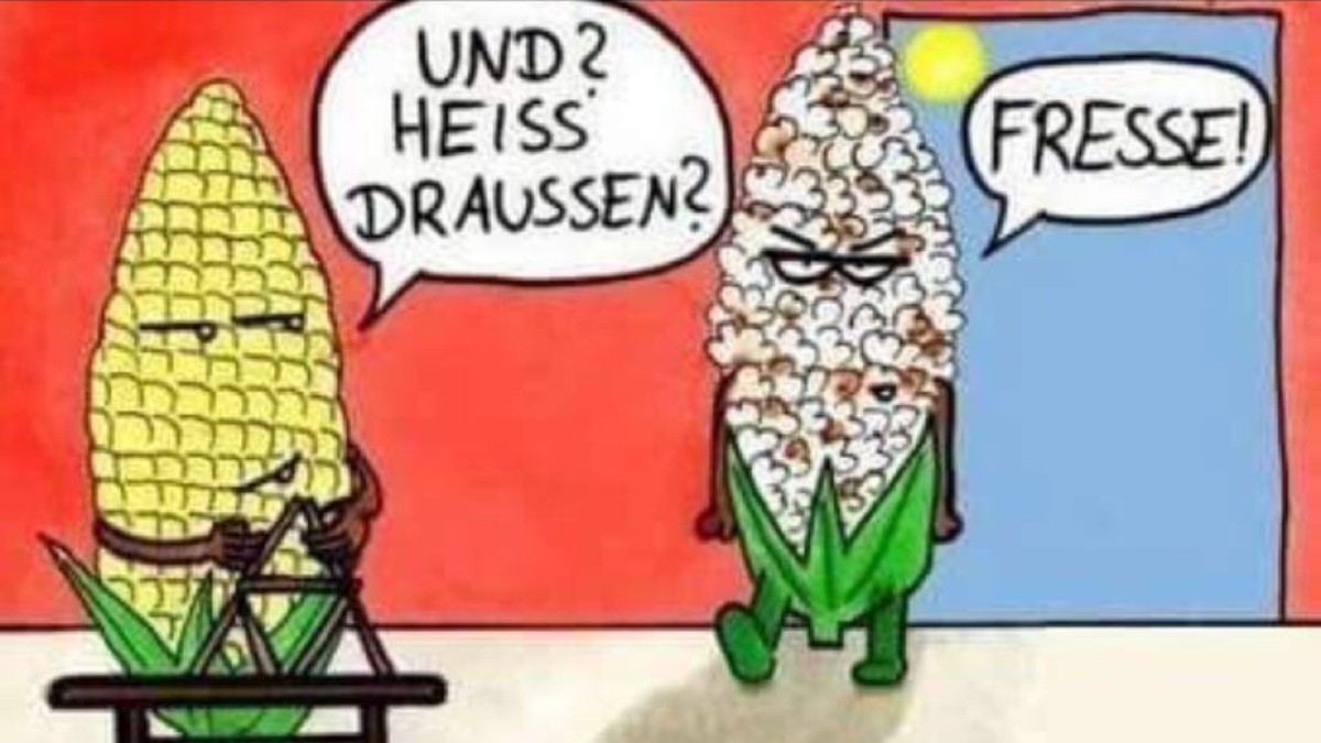 WhatsApp Das sind die besten Witze zur Hitzewelle 2018