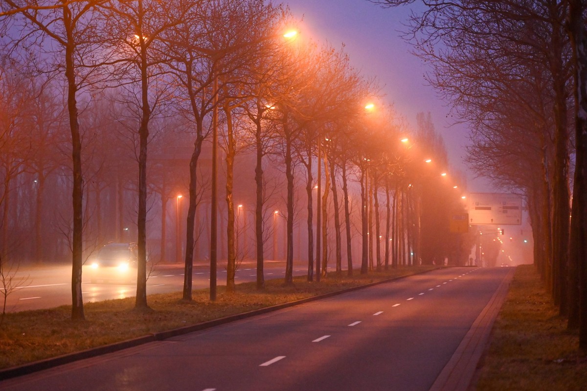 Leipzig - Nebeliger Start in den Samstagabend 06.01.2024 gegen 17 Uhr Leipzig, Messe-Allee Im Foto: Eine Stra�e wird bei Nebel beleuchtet. In der Nacht zu Sonntag bleibt der Himmel in Sachsen bedeckt, ...