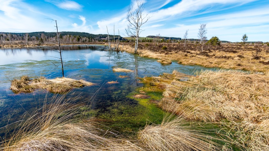 A few impressions from the largest bog and nature reserve in southern Germany, the Wurzacher Ried near Bad Wurzach in Upper Swabia.