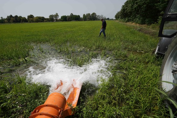 Rice farmer Giovanni Daghetta walks on a rice field as the dewatering pump gets water from a channel to a dried rice field, in Mortara, Lomellina area, Italy, Monday, June 27, 2022. The worst drought  ...