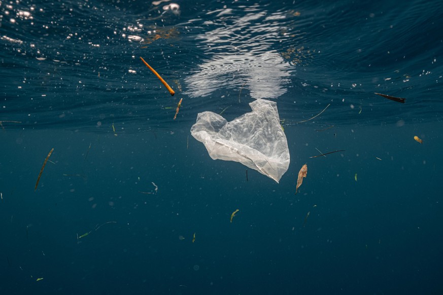 Single-use plastic is a major contributor of pollution in the ocean. It is often found in the stomach of whales, sea turtles and other marine species.
