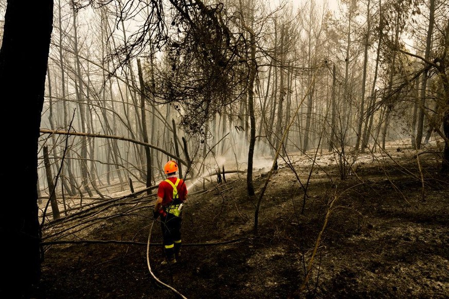 Das Feuer in Griechenland verbrannte Wälder, Dörfer und Tiere und forderte sogar Menschenleben.