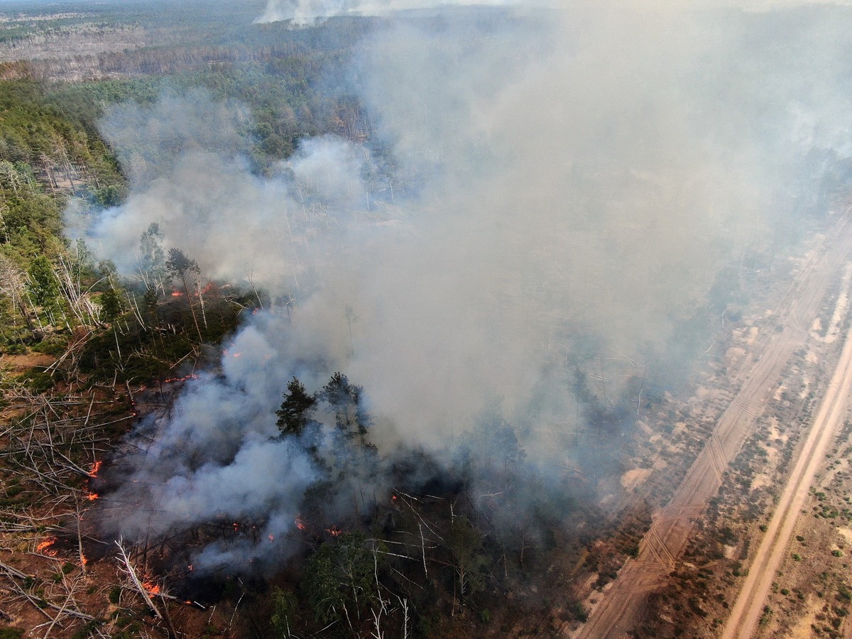05.06.2023, Brandenburg, Jüterbog: Flammen schlagen in einem Waldstück nahe Jüterbog in die Höhe. Auffrischender Wind hat den Waldbrand in einem mit Munition belasteten Waldgebiet südlich von Berlin a ...