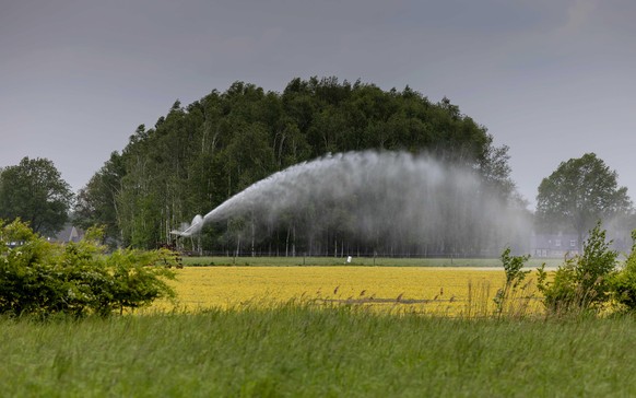 2022-05-10 14:39:03 REUSEL - Landwirte bewässern ihre Felder im Süden von Brabant. Der Rijkswaterstaat und die Wasserverbände werden diese Woche weitere Maßnahmen gegen die Dürre ergreifen. ANP ROBIN  ...
