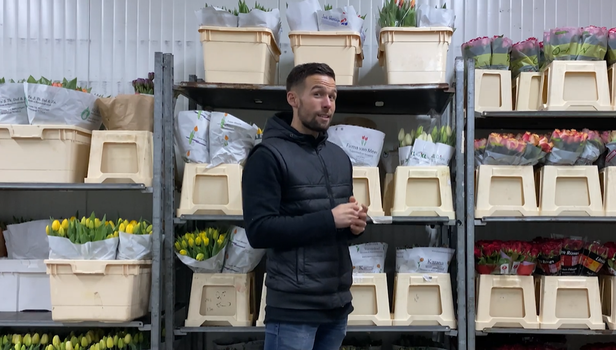 Jan Hoffmann kennt sich mit Rosen aus wie kein anderer.