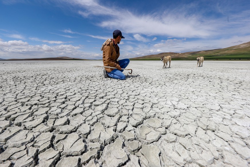 VAN, TURKEY - JUNE 7: A view of Akgol, in Ozalp district of Van province of Turkey on June 7, 2021. Due to the drying up of the &quot;bird paradise&quot;, Akgol, which covers an area of 407 hectares i ...