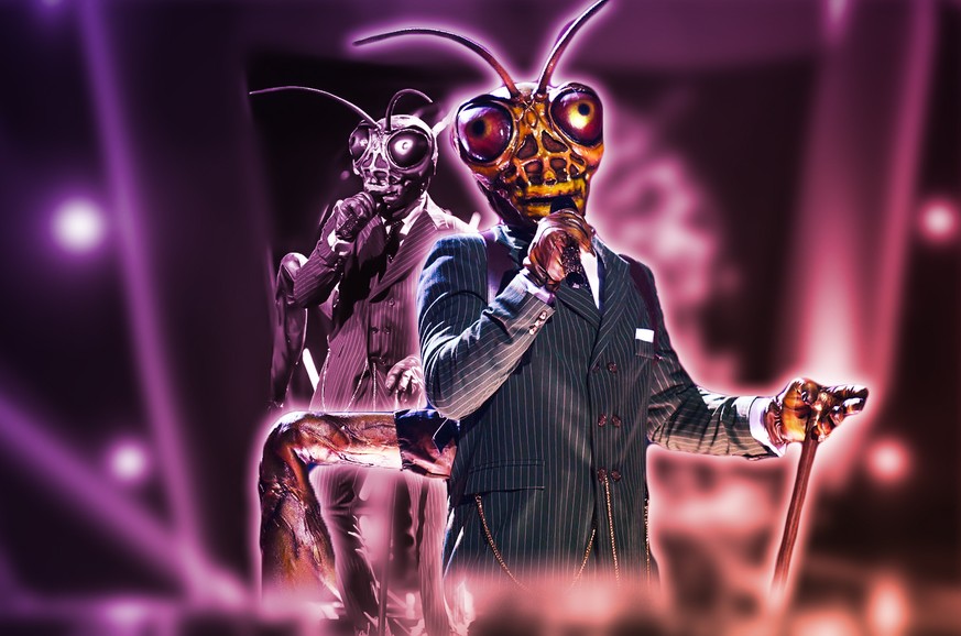 "The Masked Singer": Dieser Star ist der Grashüpfer, und wir haben 7 Beweise!