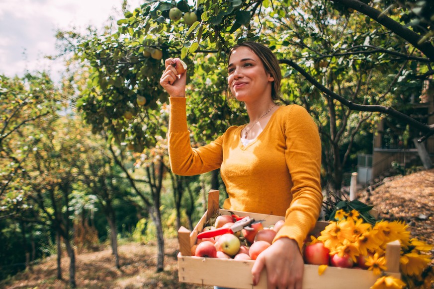 Country woman holding a box of flowers and fruits