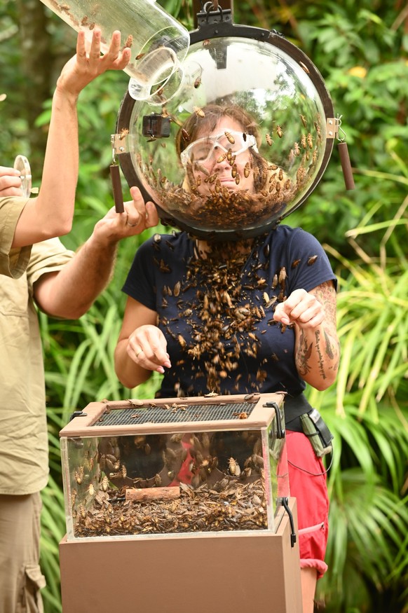 Dannis finale Prüfung: Das große Krabbeln.