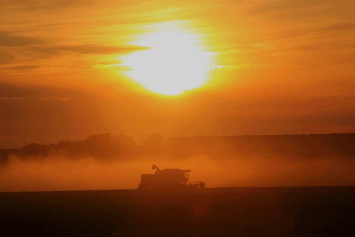 Landwirte in Niedersachsen scharren mit den Hufen - Getreideernte beginnt Salzgitter - Lichtenberg. / Niedersachsen. Für die Landwirte beginnt die Erntesaison. Nach haltender Trockenperiode im ersten  ...