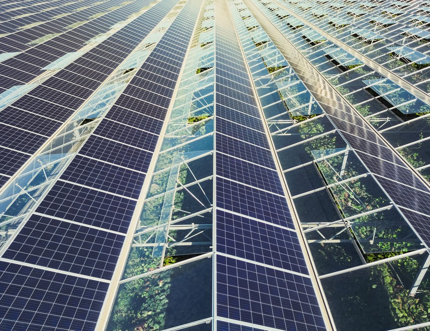 Greenhouse for growing vegetables with mounted photovoltaic panels