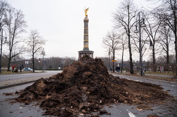 Das Abladen von Misthaufen ist eine beliebte Protestform der Landwirt:innen.