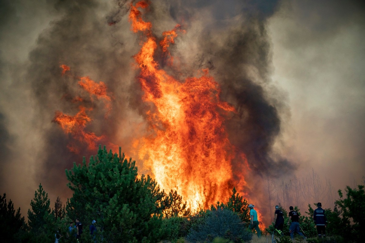 HANDOUT - 09.08.2021, Nordmazedonien, Skopje: Freiwillige Helfer und Kräfte der Feuerwehr bekämpfen einen Waldbrand. Unter ihnen sind Feuerwehrleute aus Niederösterreich und der Steiermark. (zu dpa: « ...