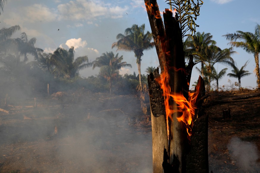 A tract of Amazon jungle is seen burning as it is being cleared by loggers and farmers in Iranduba, Amazonas state, Brazil August 20, 2019. REUTERS/Bruno Kelly