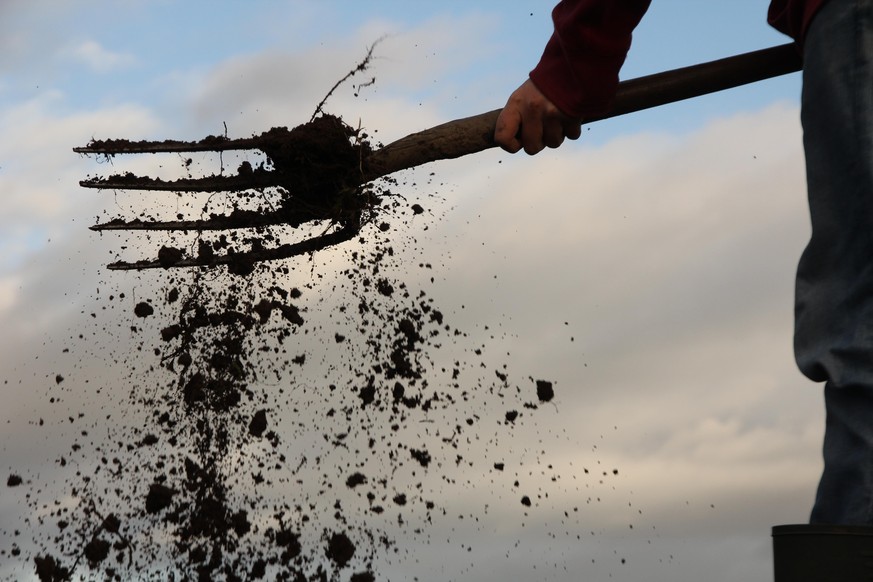 Close up of garden fork digging dark brown soil from low perspective against grey sky