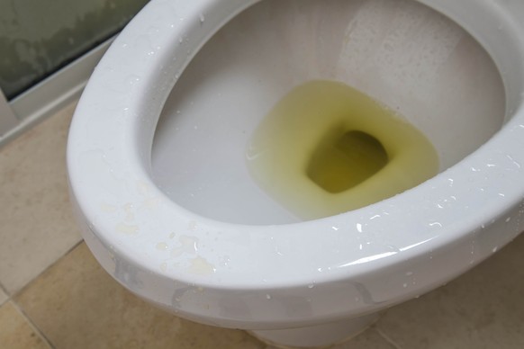 Close-up dirty urinate in lavatory