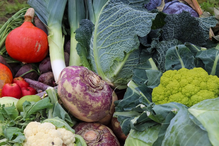 A pile of mixed and healthy vegetables at a market