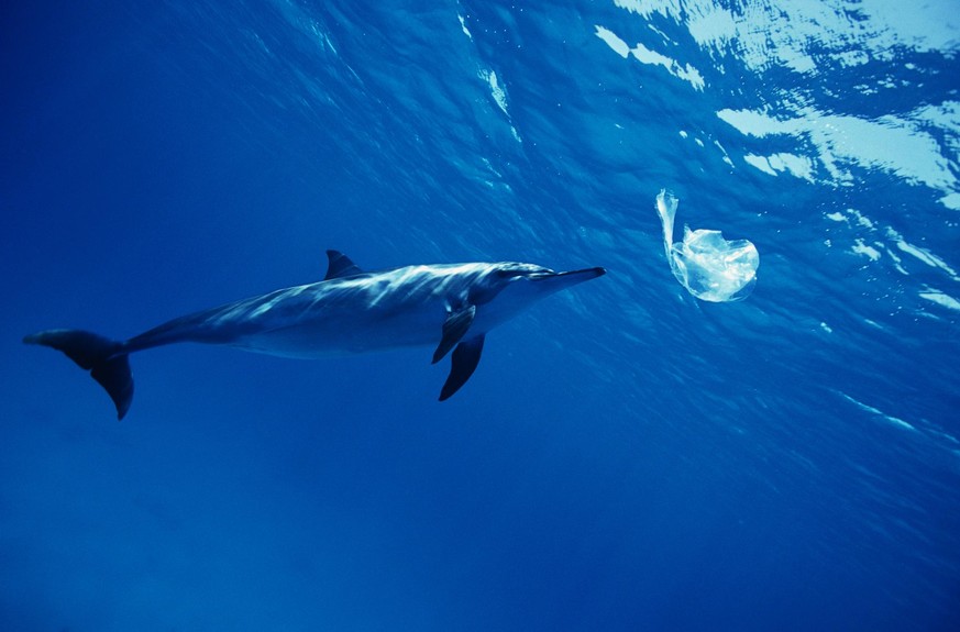 10.000 Tonnen an Amazon-Plastikverpackungen landen den Berechnungen zufolge im Meer.